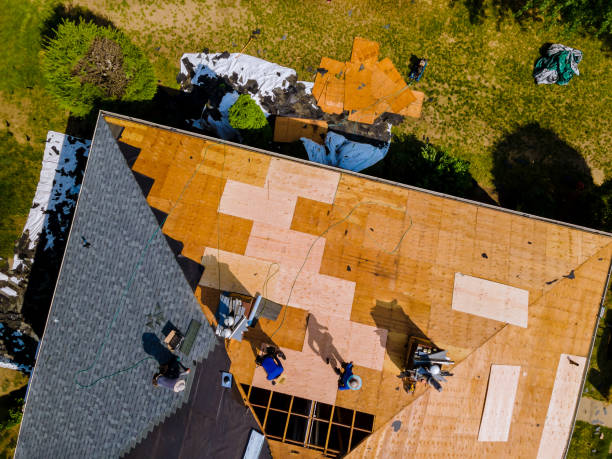 Best Roof Gutter Cleaning  in Bridgeview, IL